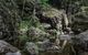 Mares Forest Creek Walking Track - thumb 1