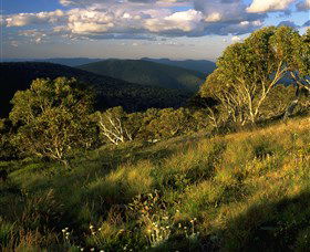 Namadgi National Park And Visitors Centre - Hervey Bay Accommodation 2