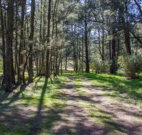 Wombeyan Waterfall walking track - Hervey Bay Accommodation