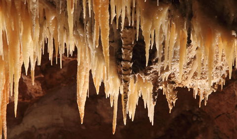 Wollondilly Cave - Tourism Hervey Bay 1