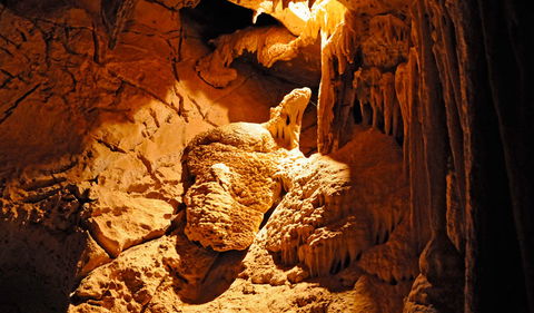 Fig Tree Cave - Hervey Bay Accommodation 0