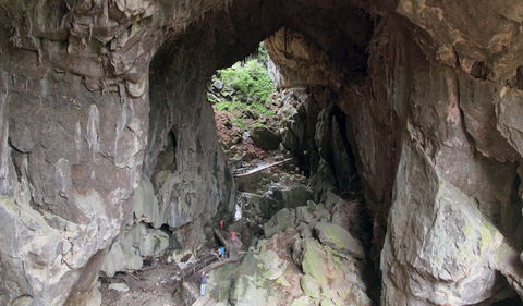 Fig Tree Cave - Hervey Bay Accommodation 1