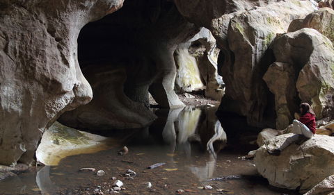 Fig Tree Cave - Hervey Bay Accommodation 2