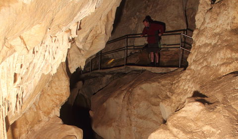 Fig Tree Cave - Hervey Bay Accommodation 3