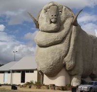Big Merino - Hervey Bay Accommodation