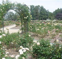 Victoria Park Rose Garden - Hervey Bay Accommodation