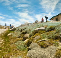 Mount Kosciuszko Summit walk - Hervey Bay Accommodation