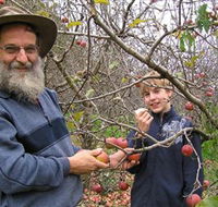 Pine Crest Orchard - Tourism Hervey Bay