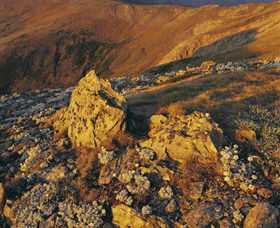 Kosciuszko National Park - Charlottes Pass To Snowy River - Hervey Bay Accommodation 1