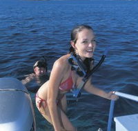 Seal Cove - Hervey Bay Accommodation