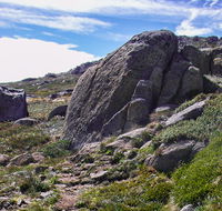 Mount Stillwell walk - Hervey Bay Accommodation