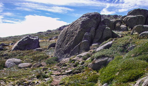 Mount Stillwell Walk - Hervey Bay Accommodation 0