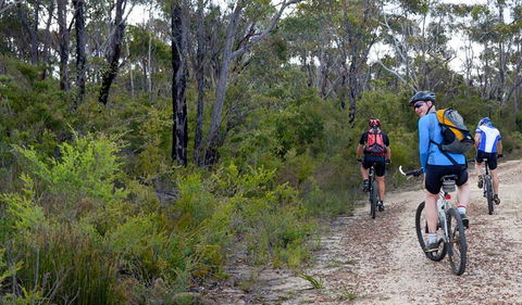 McMahon's Point Ride - Wentworth Falls - Hervey Bay Accommodation 0