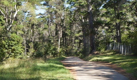 McMahon's Point Ride - Wentworth Falls - Hervey Bay Accommodation 2
