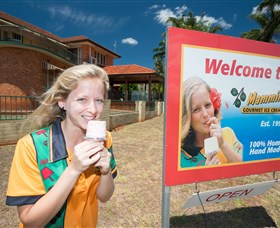Mammino Gourmet Ice Cream - Hervey Bay Accommodation 3