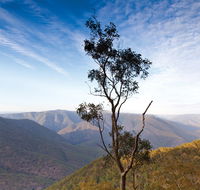 Salisbury Waters walking track - Hervey Bay Accommodation