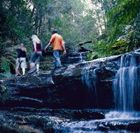 South Lawson Waterfall Circuit - Hervey Bay Accommodation