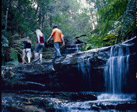 South Lawson Waterfall Circuit - Hervey Bay Accommodation 0
