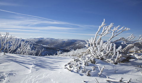 Rock Creek Snowshoe Track - Tourism Hervey Bay 0