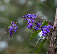 Mann River Nature Reserve - Hervey Bay Accommodation
