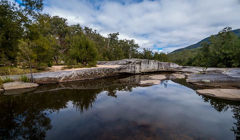 Mann River Nature Reserve - Hervey Bay Accommodation 3