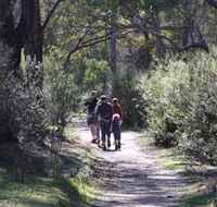 Syd's Rapids and Aboriginal Heritage Trail Avon Valley - Hervey Bay Accommodation