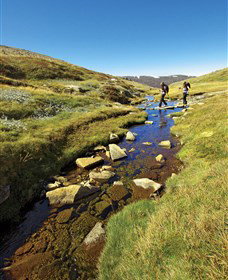 Sawpit Creek NSW Hervey Bay Accommodation