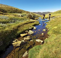 Australian Alps Walking Track - Hervey Bay Accommodation
