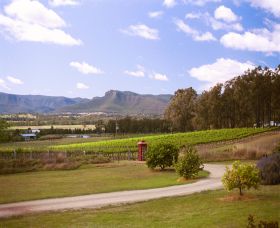 Catherine Vale Wines - Hervey Bay Accommodation 0
