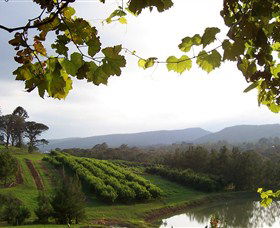 Enniskillen Orchard - Hervey Bay Accommodation 1