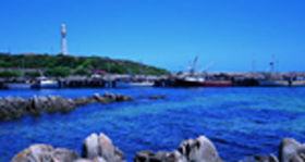 King Island Dairies - Hervey Bay Accommodation 0