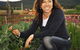 Margan Hunter Valley Wines And Restaurant - thumb 2