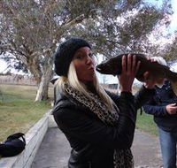 Eucumbene Trout Farm - Hervey Bay Accommodation
