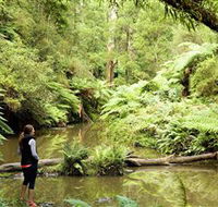 Morwell National Park