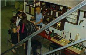 John Kosovich Wines - Hervey Bay Accommodation 1