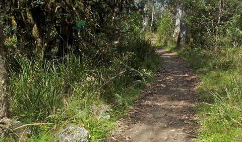 Devils Hole Lookout Walk And Picnic Area - Hervey Bay Accommodation 2