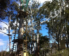 Trees Adventure Grose River Park - Hervey Bay Accommodation 1