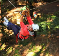 Trees Adventure Grose River Park - Hervey Bay Accommodation