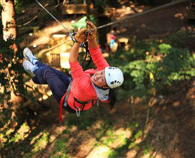 Trees Adventure Grose River Park - Hervey Bay Accommodation 0