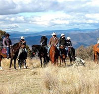 Snowy Wilderness - Hervey Bay Accommodation