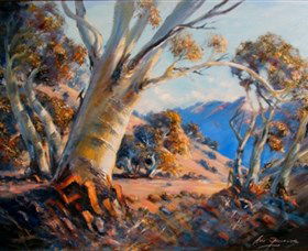 Kunama Snowy Mountains Centre For The Arts - Tourism Hervey Bay 0