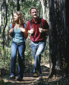 Bibbulmun Track - Hervey Bay Accommodation 1