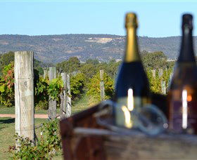 Ugly Duckling Wines - Hervey Bay Accommodation 1