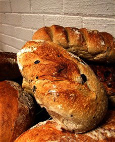 Bakehouse On Park - Hervey Bay Accommodation 3