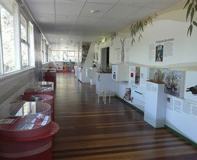 Kanyana Wildlife Rehabilitation Centre - Hervey Bay Accommodation 1