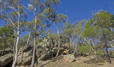 Bungonia National Park - Hervey Bay Accommodation 3