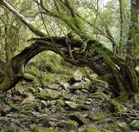 Mitchell River National Park - Hervey Bay Accommodation