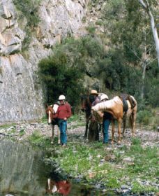 Yarramba Horse Riding - Hervey Bay Accommodation 0