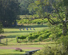 Wollombi Wines - Hervey Bay Accommodation 8