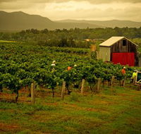 Around Hermitage Wine and Food Trail Hunter Valley - Hervey Bay Accommodation